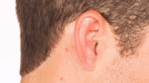 invisible hearing aid of 2020 gif